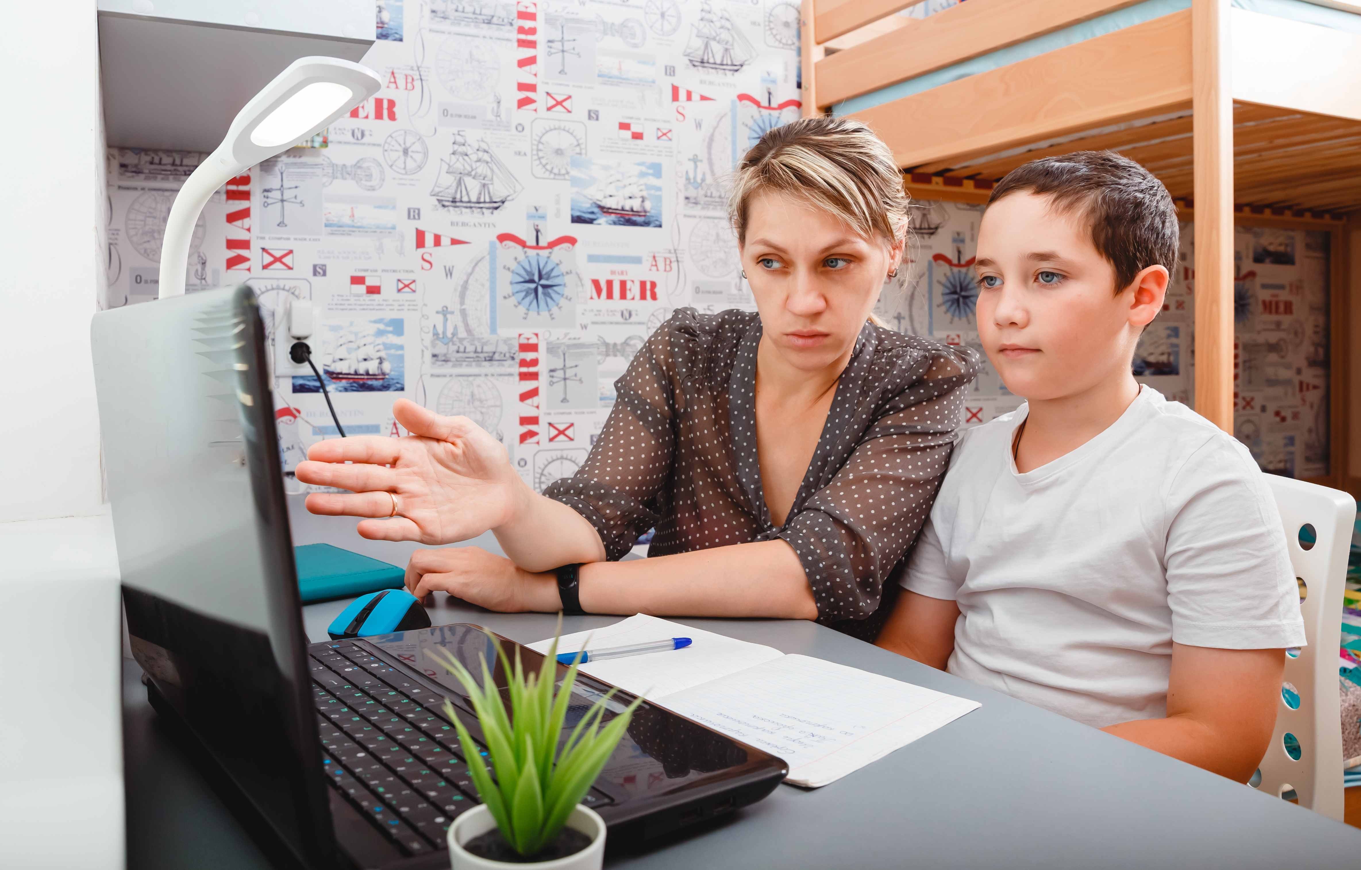 Как применять знания из CS50 в реальных проектах